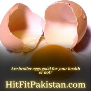 are broiler eggs good for your health or not